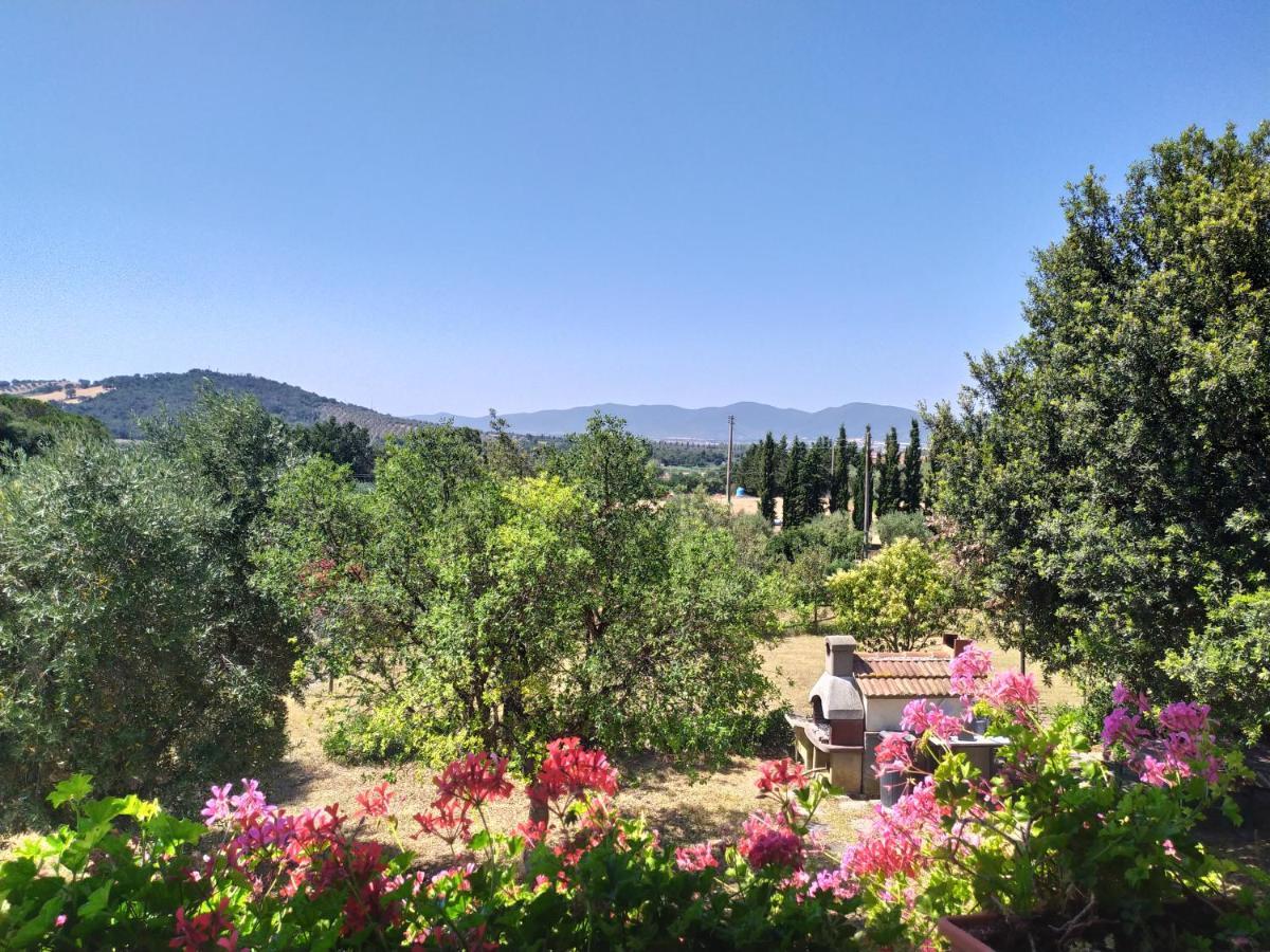 Agriturismo San Giorgino Grosseto Exterior photo